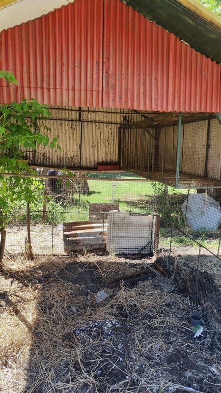 Item 869948 - Image 6