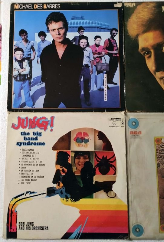 Colección de Vinilos de 33 RPM de Artistas Variados - imagen 3