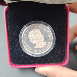 Moneda de Plata Canadiense "Great Blue Heron" 2017 - 10 Dólares - imagen 3