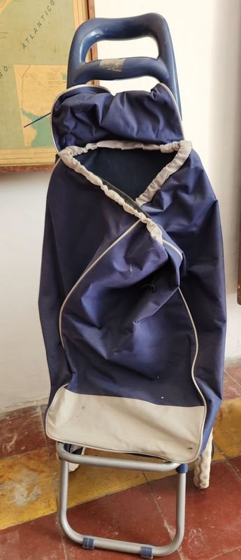 Carrito de Compras Azul con Ruedas Plegable