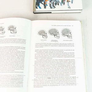2 Libros: Los Trastámaras y La Aparición del Hombre - imagen 2