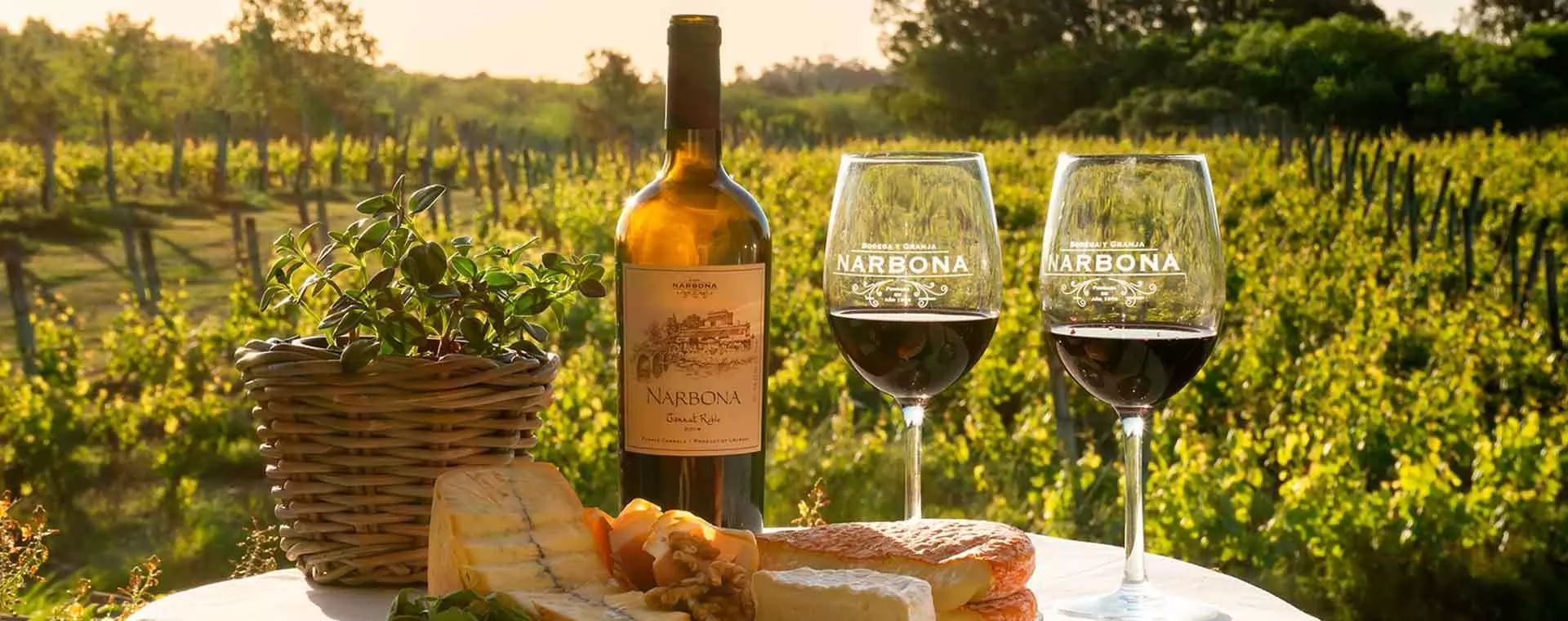 Vinos Bodega Narbona Exclusivos