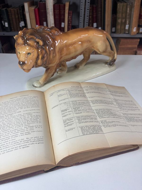 Item 885481 - Image 2