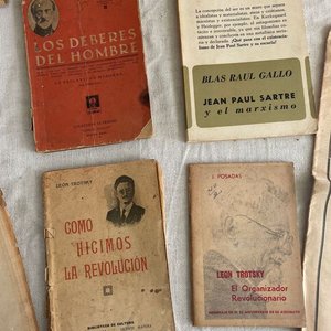 Lote de Libros y Publicaciones sobre Marxismo y Política - imagen 2