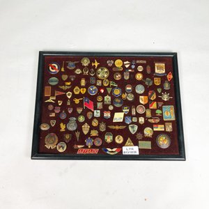Marco con Colección de Pines Metálicos Variados - imagen 1