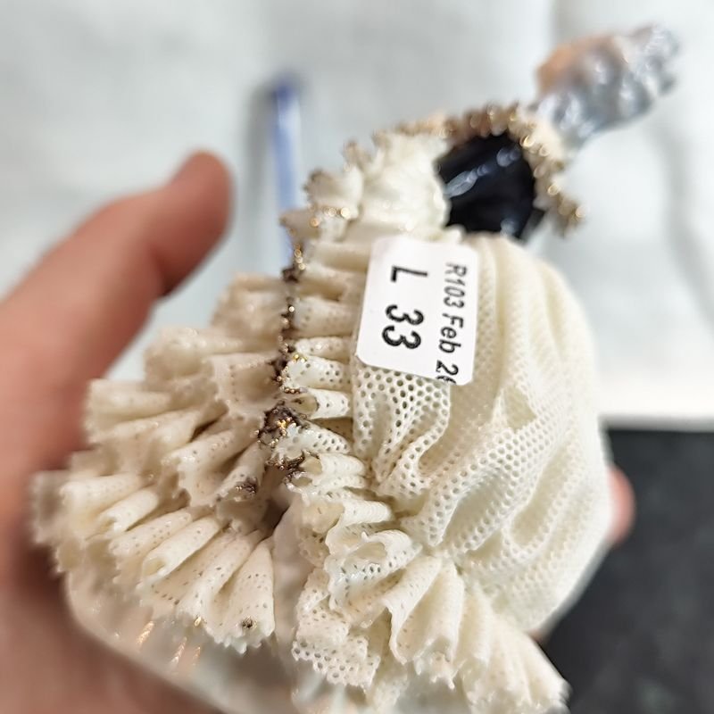 Item 868308 - Image 4