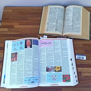 Lote de Libros: Diccionario Ilustrado, Gran Diccionario Español-Inglés, Solfeo y Cantos - imagen 2