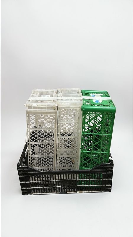 Canastos plásticos de 4 unidades en buen estado