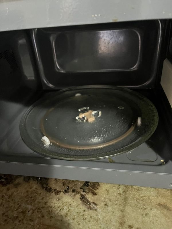 Item 867646 - Image 2