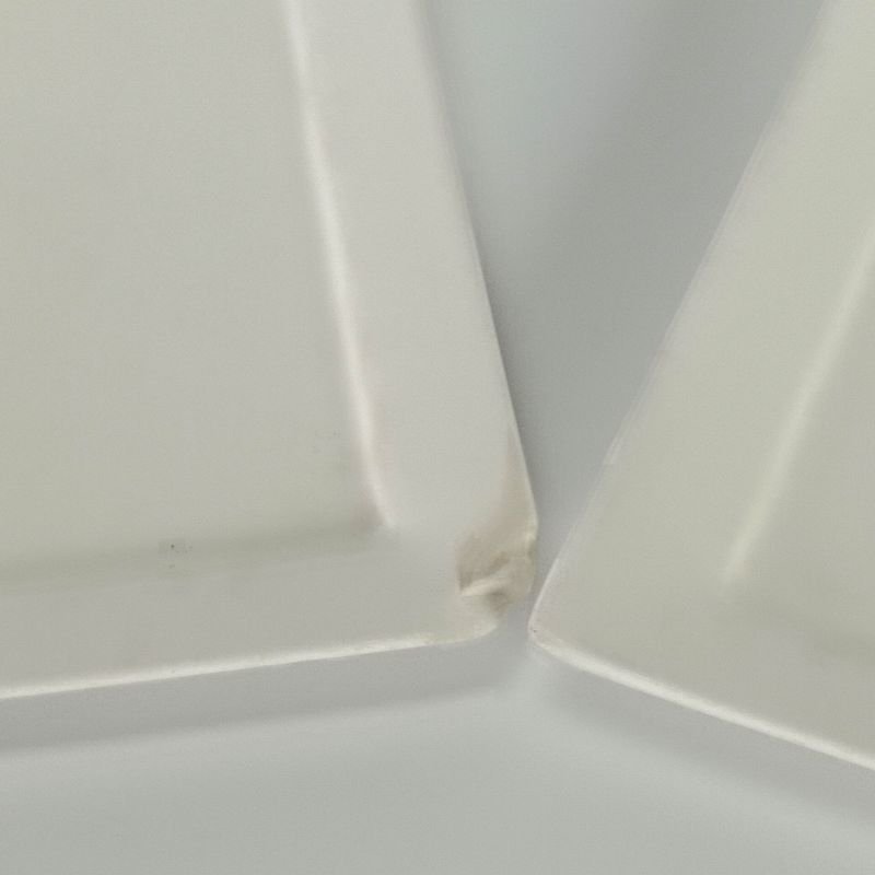 Platos Rectangulares con Chip - Venta en Subasta - imagen 2