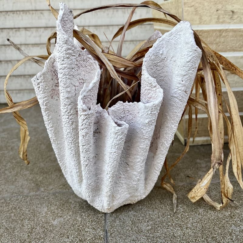 Item 895315 - Image 1