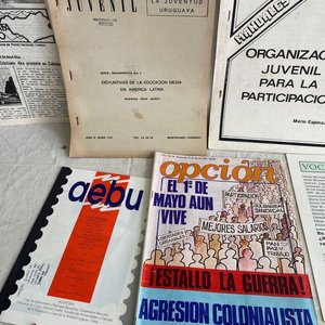AEBU, FORO JUVENILMARCHA, FRENTE AMPLIO, LUCHA - imagen 3