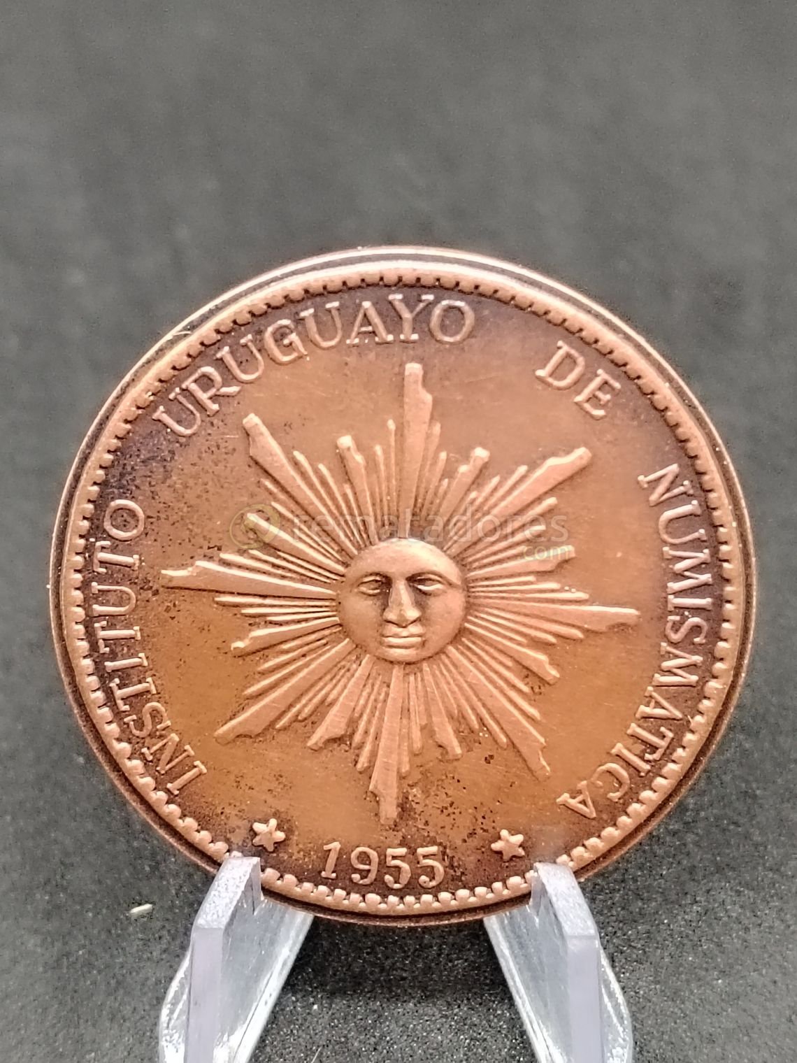 Medalla Conmemorativa Instituto Uruguayo de Numismática 1955-2005