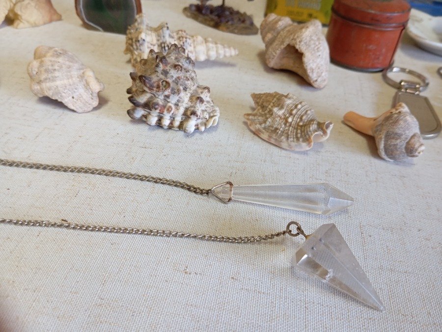 Colección de caracoles y objetos variados - imagen 8