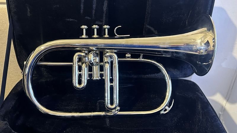 Fliscorno con estuche de música - imagen 2