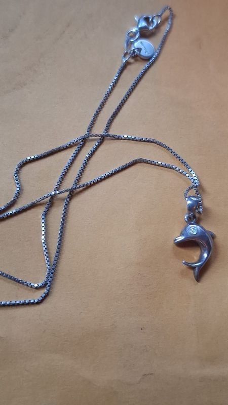 Cadena de plata con dije delfín - imagen 7