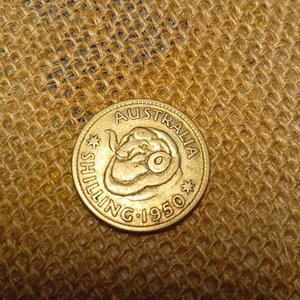 Chelín Australiano de Plata - Año 1950 - imagen 2