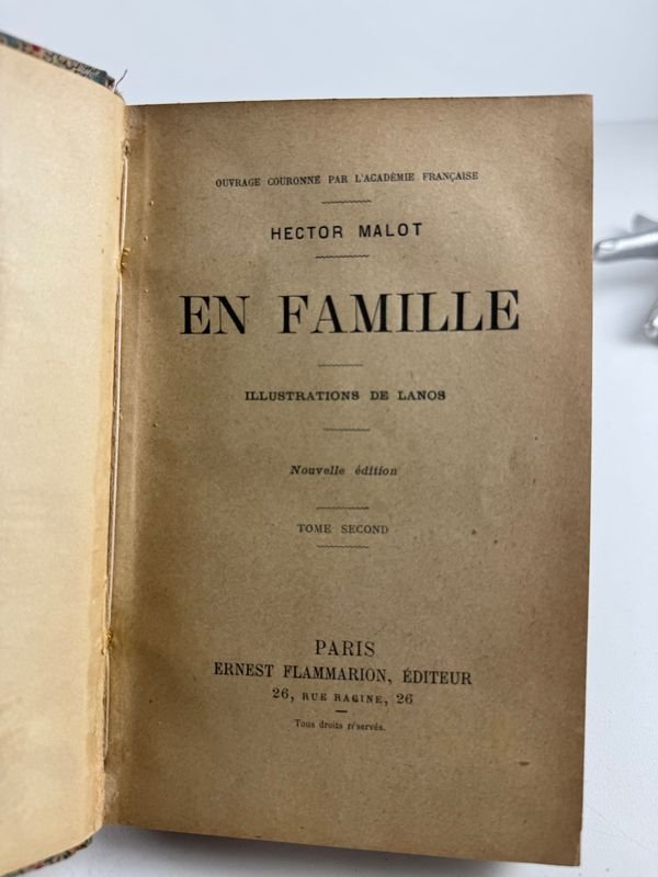Libro clásico de Hector Malot - Par de tomos En familia - imagen 5