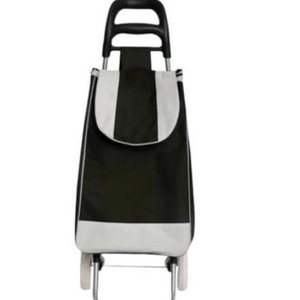 Lote anterior: Carro de Feria Plegable con Ruedas