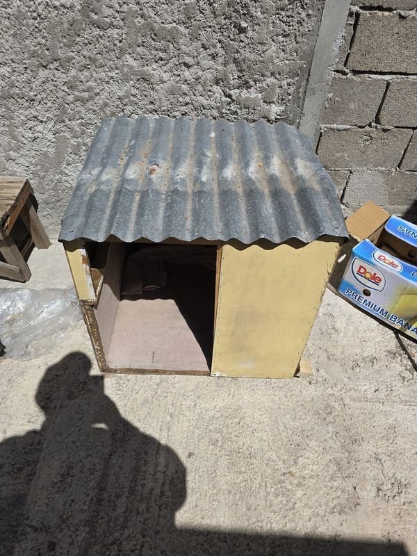 Caseta de perro para mascotas