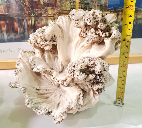 Fuente de agua con fisonomía de coral, decorativa y manual - imagen 5