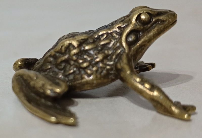 Figura en Bronce de Sapo - Atracción de Fortuna - imagen 5