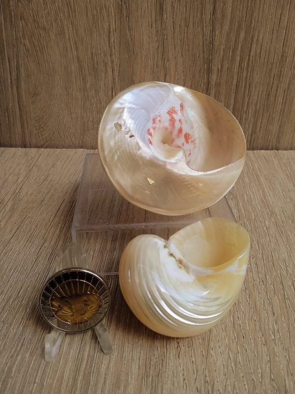 Item 884182 - Image 1