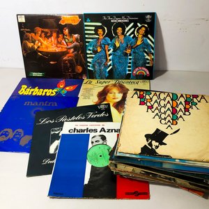 Lote siguiente: Lote de Discos de Vinilo de Diversos Artistas y Géneros