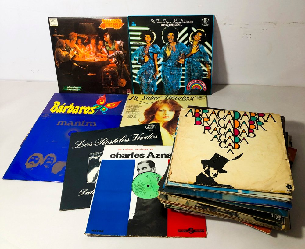 Lote de Discos de Vinilo de Diversos Artistas y Géneros