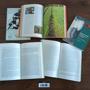 Lote de Libros: Enciclopedia Medicina Natural, Diccionario Multilingüe, Almanaques y Revistas - imagen 6