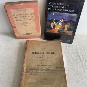 Lote anterior: Lote de Libros: Historia de los Orientales y Dominación Española
