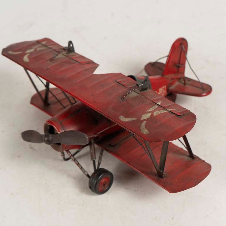 Avioneta de chapa - Medidas: 22x28cm - imagen 2