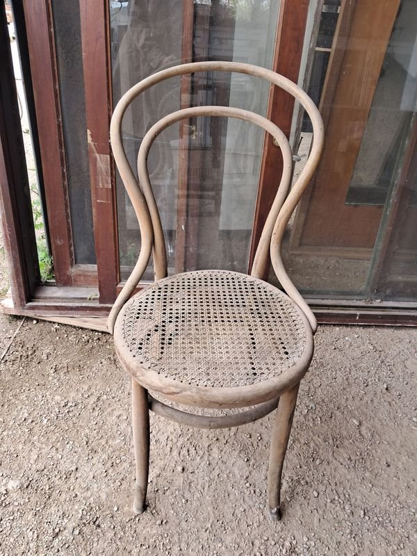 Silla Estilo Thonet Viena con Esterillado Natural