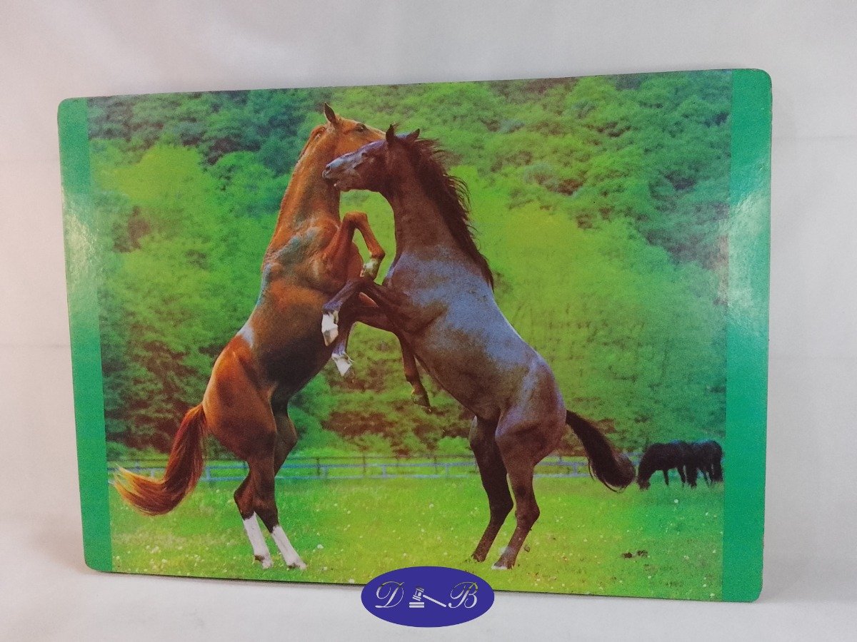 Mural Decorativo Caballos en Libertad