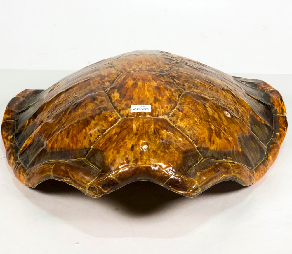 Item 500487 - Image 1