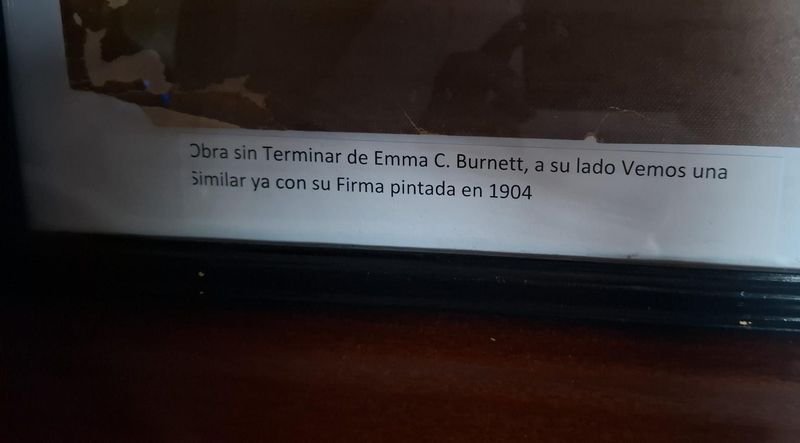 Item 856344 - Image 3