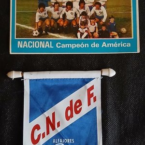 Banderín y Postal Vintage Club Nacional de Football "Campeón de América" - imagen 1