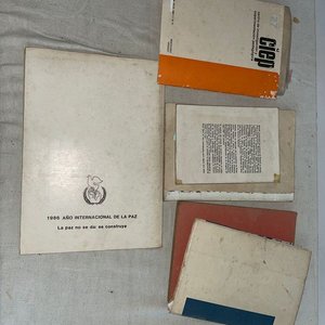 Lote de Libros de Estudio y Didácticos - imagen 2