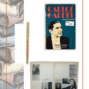 Libro Biografía Carlos Gardel por Edmundo Eichelbaum, Edición Vergara 1985 - imagen 3