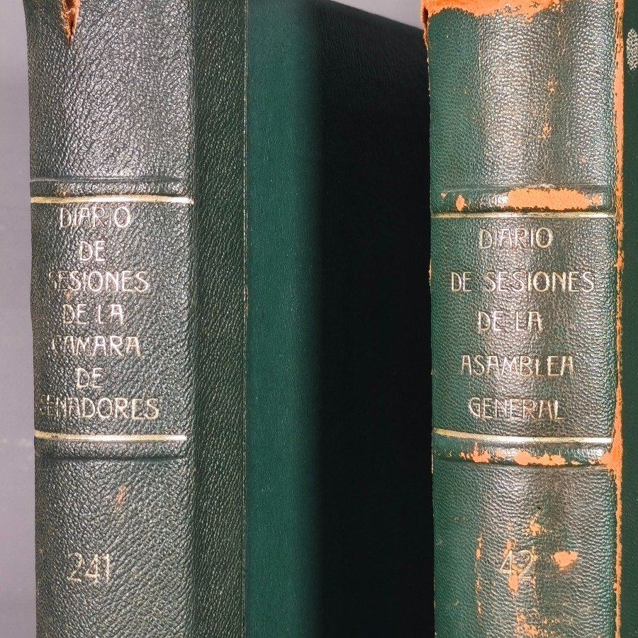 Diarios de la Cámara de Senadores. Dos tomos. Año 1963. - imagen 4