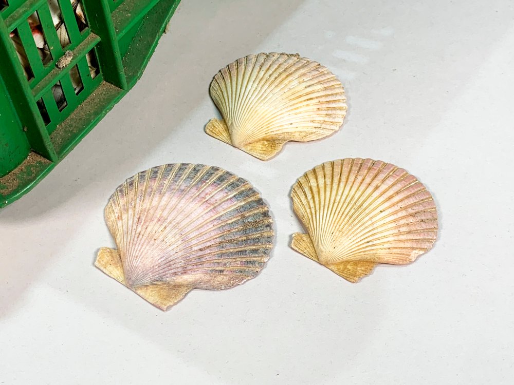 Item 486814 - Image 2