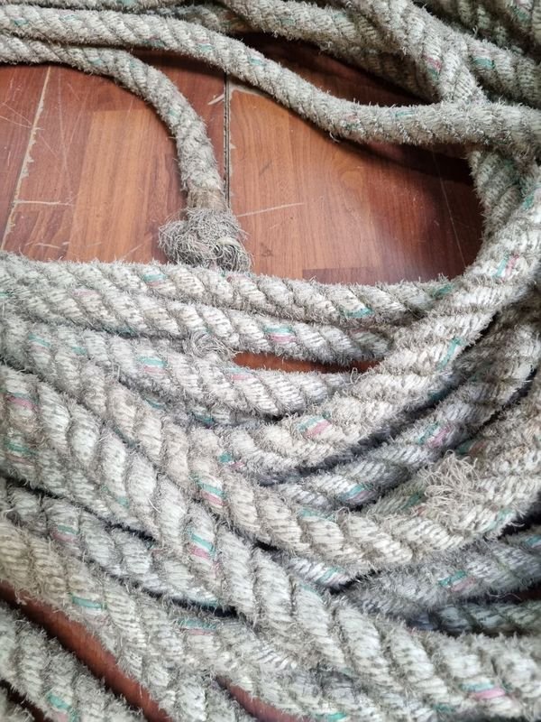 Item 875788 - Image 1