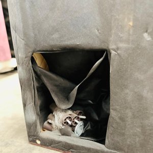 Box de Sommier de 2 Plazas Marrón en 2 Partes - imagen 3