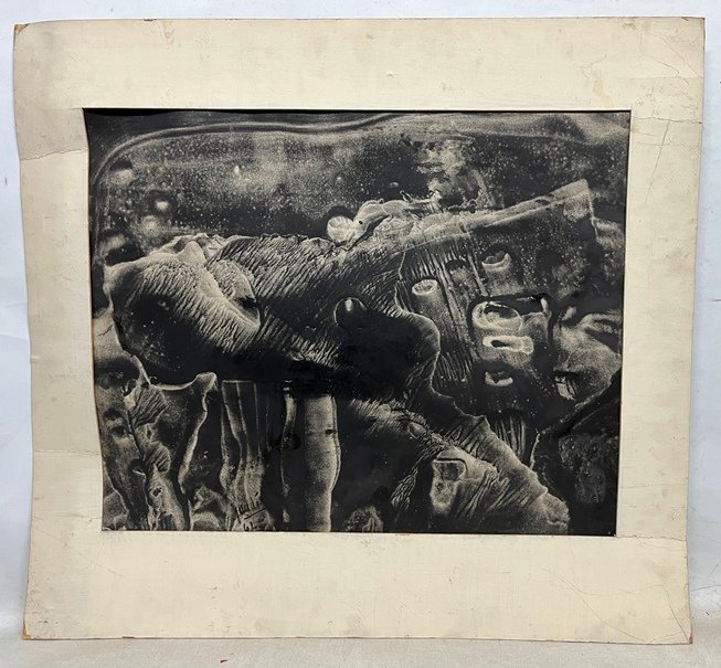 Item 486174 - Image 1