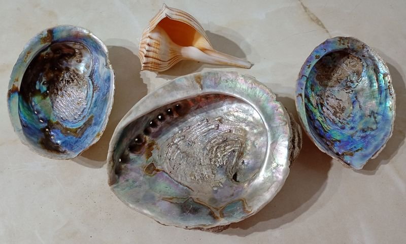 Item 852248 - Image 0