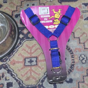 Árbol Rascador para Gatos y Accesorios para Mascotas - imagen 5