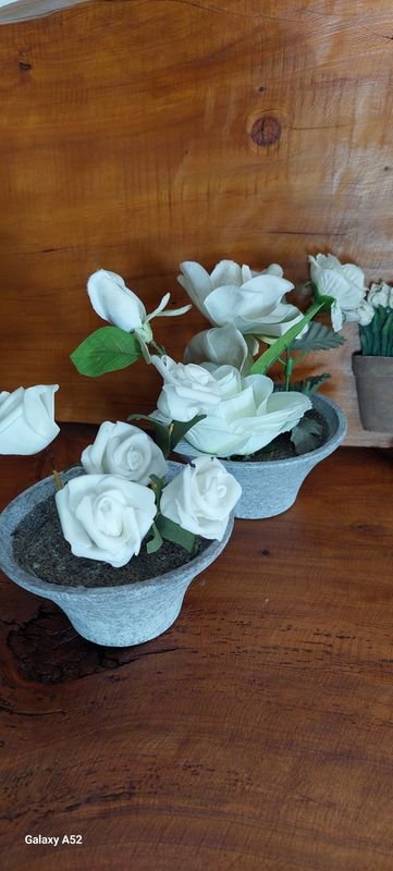 Item 847106 - Image 3