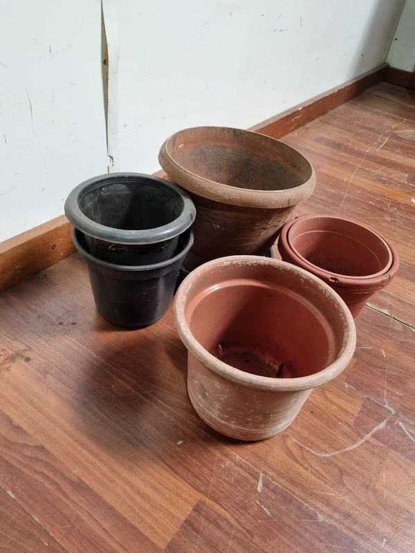 Item 865916 - Image 4