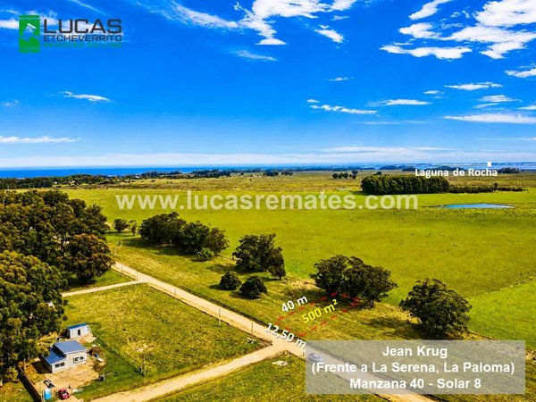 Terreno 500 m² en La Paloma, Rocha: Limpio, Arbolado y Listo para Construir