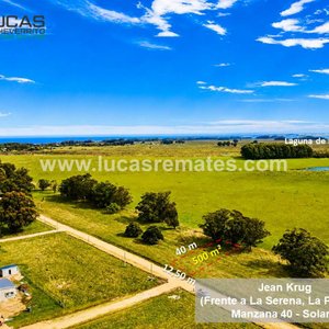 Terreno 500 m² en La Paloma, Rocha: Limpio, Arbolado y Listo para Construir - imagen 1